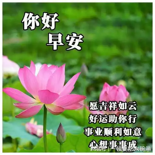 清晨的阳光照耀着你的面容,洒满你的心房