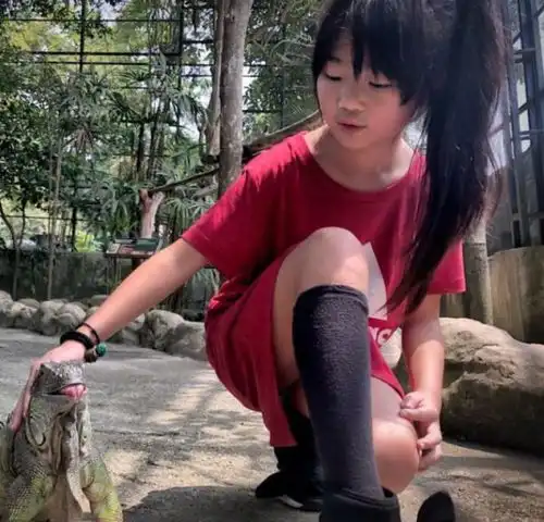 测试一个超长简介的文章