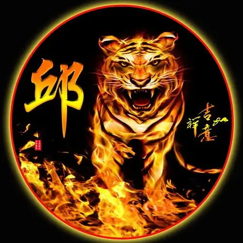 微信头像,姓氏头像,壁纸锁屏,霸气火焰虎,有你喜欢的吗