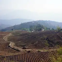 2020哀牢山门票,新平哀牢山游玩攻略,哀牢山游览攻略路线地址门票价格