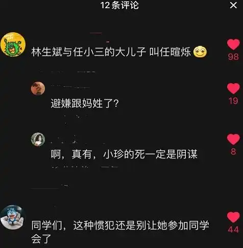 林生斌四岁儿子成谜,学校澄清查无此人,隐婚生女只为收割钱财