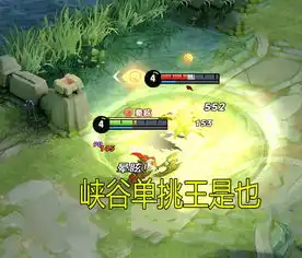 王者荣耀典韦不打野带什么技能新手终结,高手闪现,大神都坐下