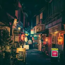 tokyohokiflannel高音质在线试听tokyo歌词歌曲下载酷狗音乐
