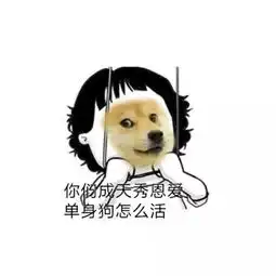 秋瓷炫和于晓光的婚后生活一言不合就开车呀