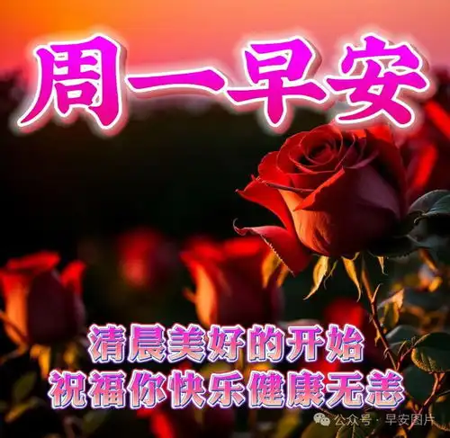 2024年4月1日周一早安暖心的问候语图片,温馨的问候祝福语大全,新的一周,吉祥安康四月你好快乐清晨早上好网易订阅
