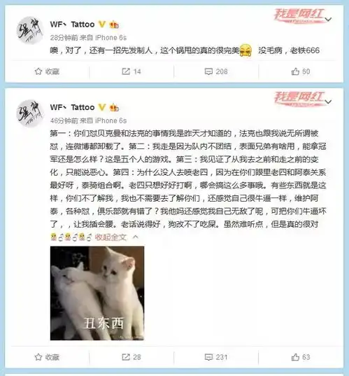 王者荣耀kpl秋季赛xq首战ag,阿泰拒绝出场被骂表面兄弟