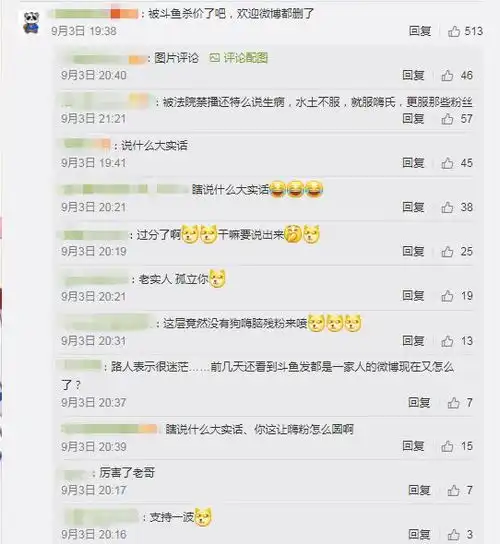 王者荣耀虎牙斗鱼戏耍嗨氏嗨氏禁止直播,宣称自己发高烧住院