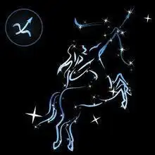 本周十二星座运势之射手座