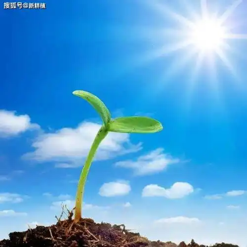 移友故事人生即将圆满时刻查出肾病她是如何重新振作起来