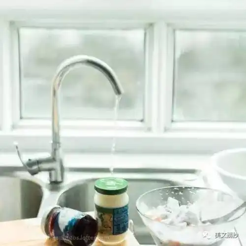 美文摘抄有哲理的句子喂狗三天,记三年养人三年,记三天