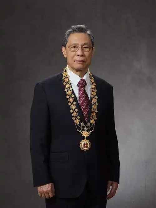多罪并罚沈佳欣攻击钟南山,冒充华谊兄弟艺人,冒用鞠婧祎头像