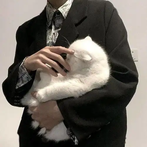 头像爱你所爱,听从你心