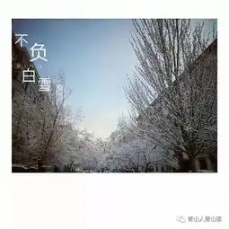 论假春天,我只服包头