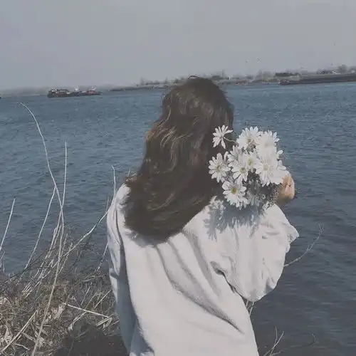 测试一个超长简介的文章