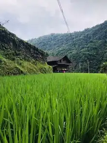携程酒店独山碧城hestie群山之心诗歌精品酒店预订独山碧城hestie群山之心诗歌精品酒店价格点评电话地址查询