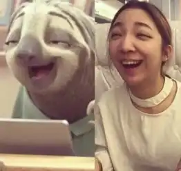 思聪泥奏凯树懒才是真正的网红