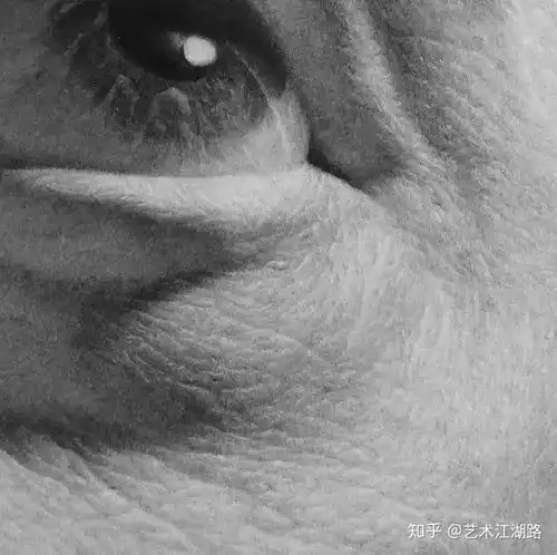 超写实素描头像局部