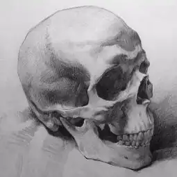 画了这么久,素描结构还不会快快戳起