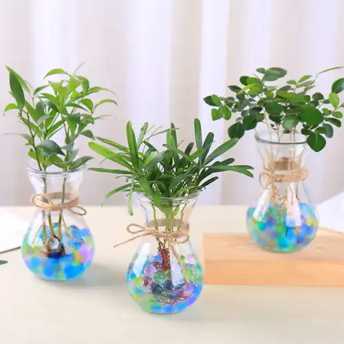 简约水培绿萝花瓶水培植物玻璃瓶透明花瓶风信子铜钱草花盆小花瓶