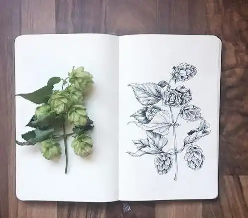 简洁精辟的经典句子,句句穿透人心
