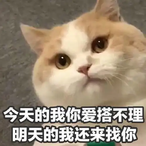 210708肥虾没有新粮日渐消瘦肖战工作室快交出存粮打发点吧