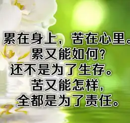一曲人这一辈子太美了,句句扎心送给群里每一位朋友