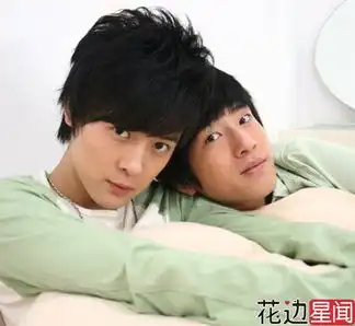 十大当红演唱组合解散隐情小虎队因服兵役解散