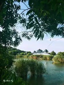 无锡禅意之行