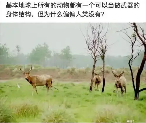 神图过完年后的你