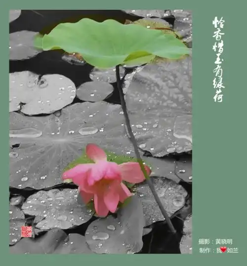 测试一个超长简介的文章