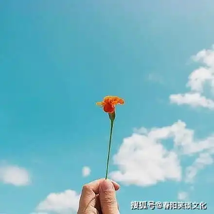 早安发圈句子,干净走心,温暖整个春天