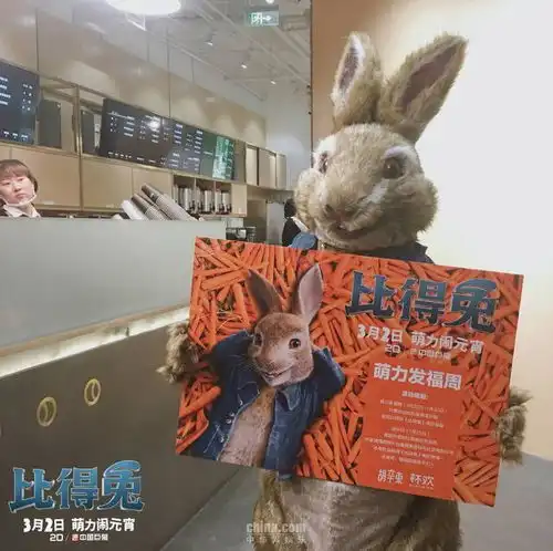 英国百年名兔惊现北京化身奶茶店长冬日暖人心