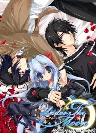 帮我看看这些都是什么动漫中的啦,最好是有动漫的简介