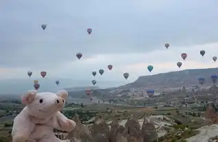 澳男子为寻玩具兔携小猪公仔游世界