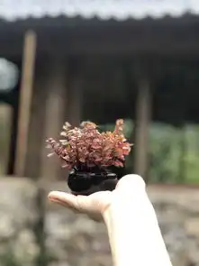 携程酒店独山碧城hestie群山之心诗歌精品酒店预订独山碧城hestie群山之心诗歌精品酒店价格点评电话地址查询