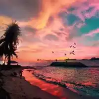 向往自由的唯美意境图片
