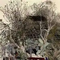 书画家高山的头像照片微信头像图片大全