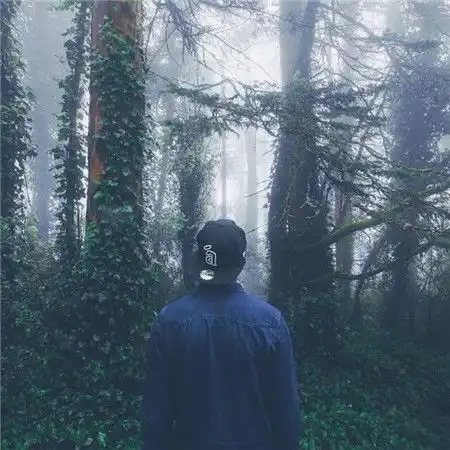 测试一个超长简介的文章