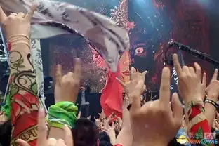 那一抹寂寞北京2014年迷笛音乐节现场照片一览