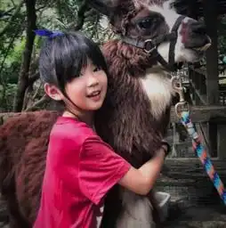 姐姐grace长大了,还是丑萌的模样吗