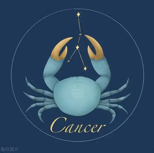 星座匹配哪些星座最相配,哪些星座最不搭