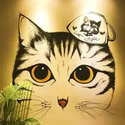 不要再沉迷云吸猫了,快去成都这些猫咖打卡吧