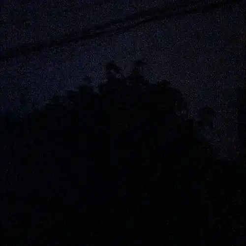 嘟嘟嘟啊哦的个人空间acfun弹幕视频网认真你就输啦ω