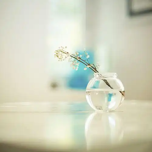 年底你走什么运桃花朵朵开还是钱财滚滚来,12月星座运势详解