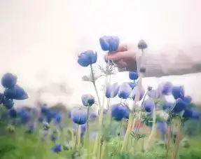 清水易学社人有三命一天命二宿命三阴命