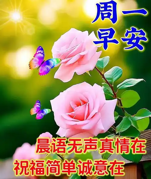 2024年8月26日星期一秋天早安祝福图片,落叶知秋,愿你入秋心情清凉,事业火热,健康平安网易订阅