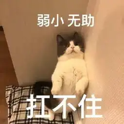坤如玛丽准妈妈大学12月精品课程新鲜出炉啦,请准爸妈们查收
