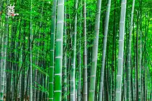 一段小清新的洗肺之旅