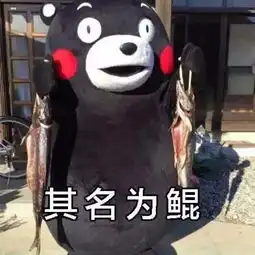 熊本熊斗图实报你们的存货也太厉害了吧