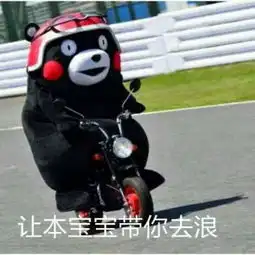 熊本熊搞笑呆萌带字头像2018最新最好的滋味就是耐人寻味